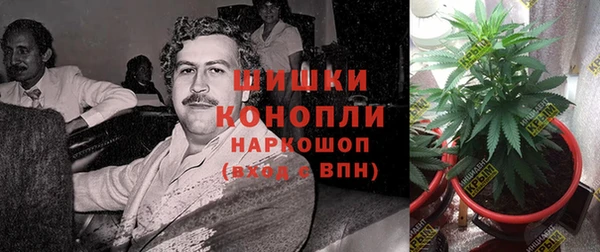 мяу мяу мука Абдулино