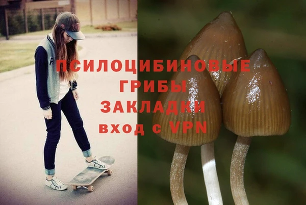ALPHA-PVP Алексин